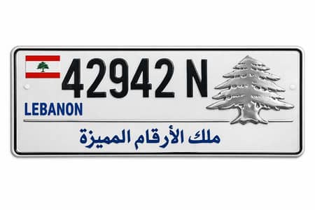 special plate numbers