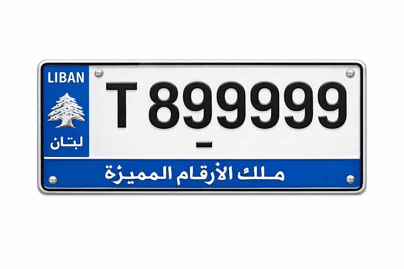 special plate numbers 2