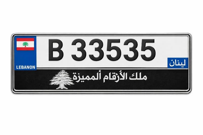 special plate numbers 6