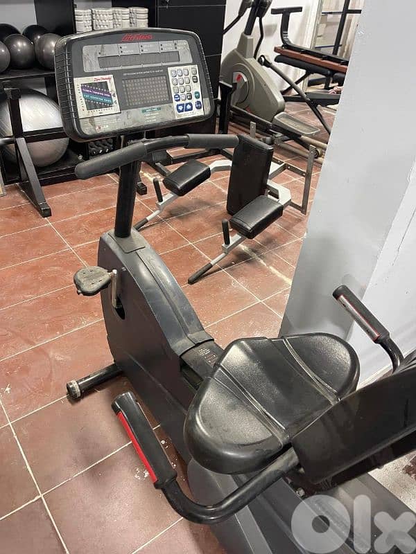 Lazy Bike - Life Fitness - Old Model 1