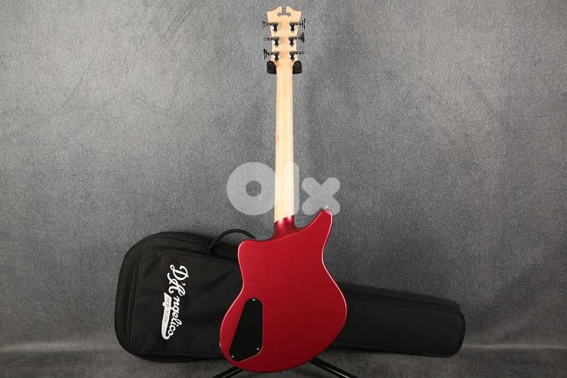 Dangelico Bedford Guitar 2