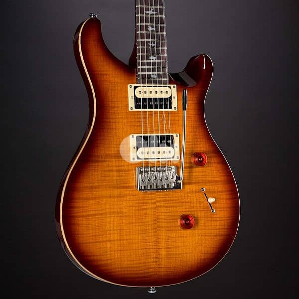PRS Custom 24 - Tobacco Burst 6