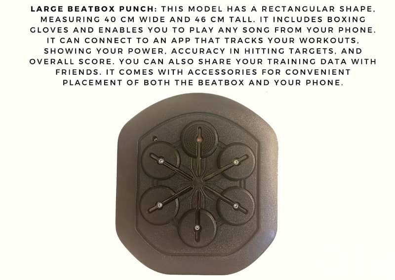 boxing wall target 1