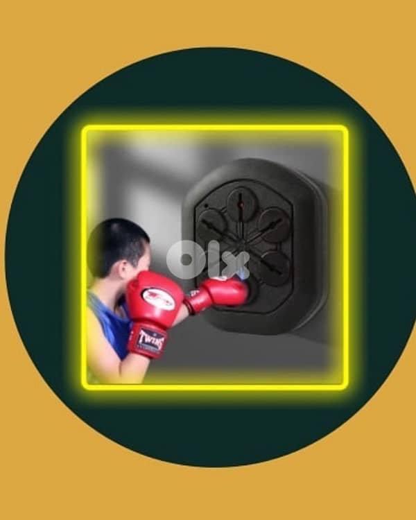 boxing wall target 5