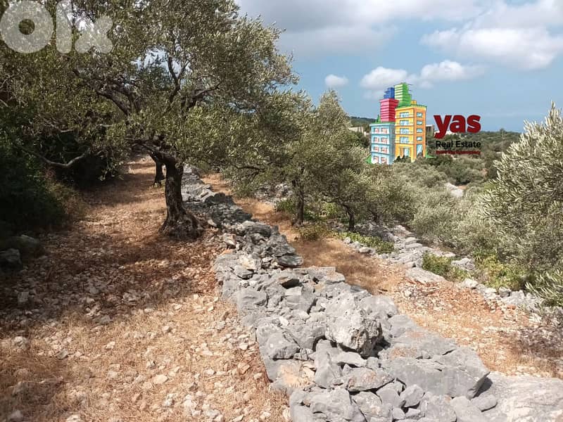 Batroun/Chibtine 959m2 | Land | Coeff 25/50 | Ideal Investment | MCH 1