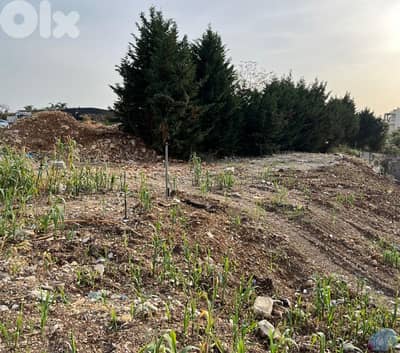 land for rent in jbeil town super prime location