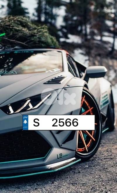 Special car number: S 2566