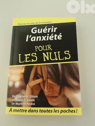 Guerir l'anxiete pour Les Nuls