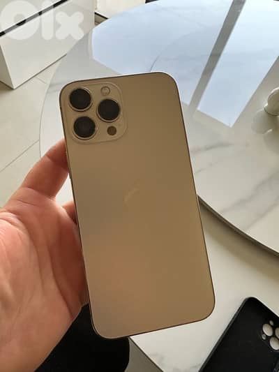 iPhone 13 Pro Max 256 GB - perfect condition