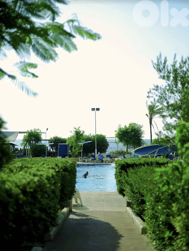 Rabiamarine Hotel Safra Chalet Yearly Rent 4