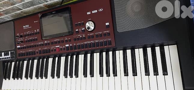 korg pa 700 oriental