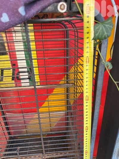 parot or other cage