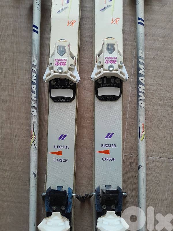 Dynamic Carbon + POLES 2