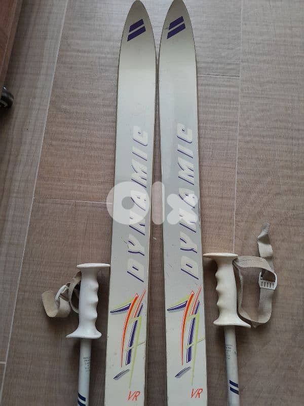 Dynamic Carbon + POLES 3