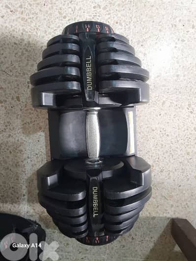 bowflex adjustable dumbbells