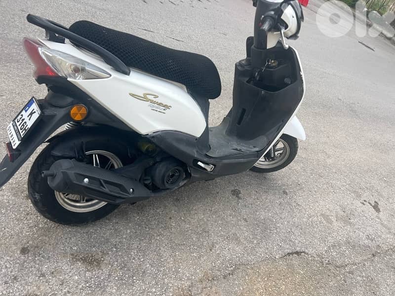 جسر الباشا 4