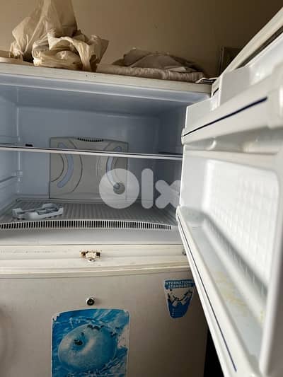 براد وفريزر