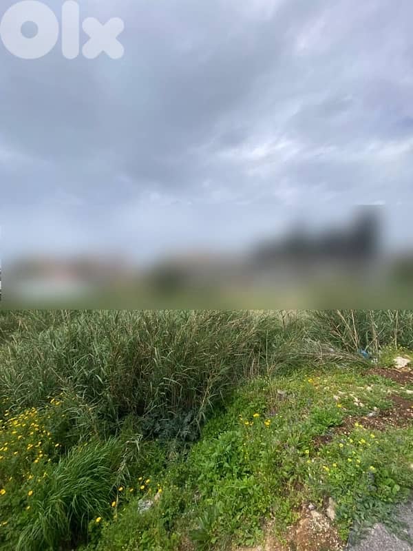 prime land for sale in Batroûn 1