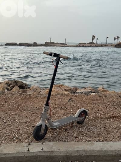 جبل البداوي