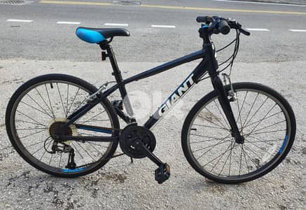 Giant Revel 24" full Aluminium very light weight