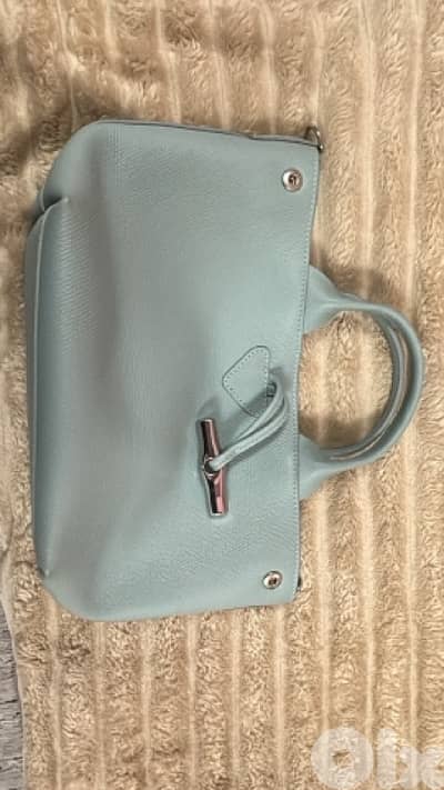 Longchamp Le Roseau S celadon green handbag