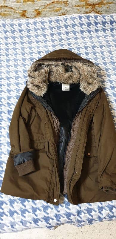 جاكيتات   لقطة