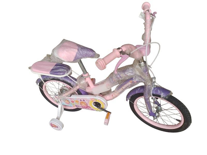 16 inch bicycle 3