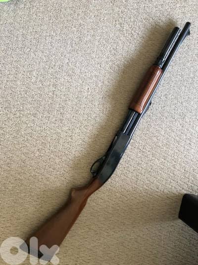 للبيع باروده ١٢