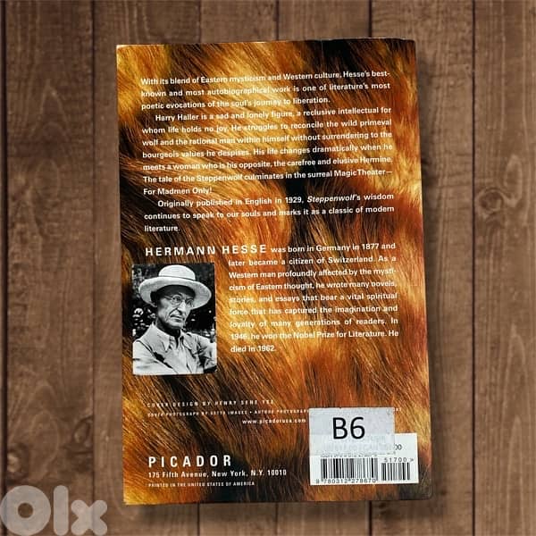Steppenwolf - Hermann Hesse 1