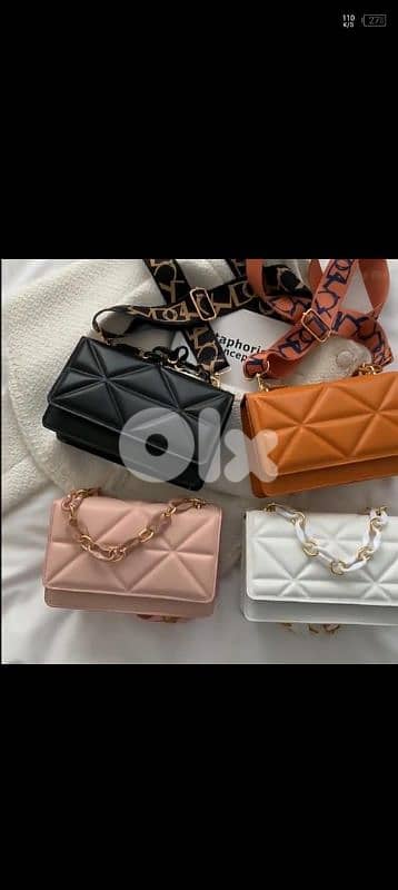 جزادين اسعار جمله فقط نوعيه مرتبه