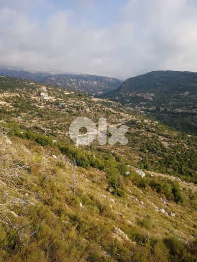 Land for sale in Bchaaleh Batroun عقار للييع للبيع في بشعله البترون