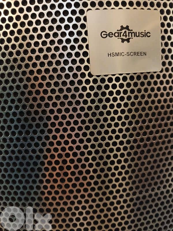 Reflection filter for microphone 1