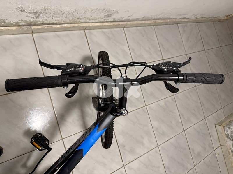 Galant bicycle L for sale , never used 6