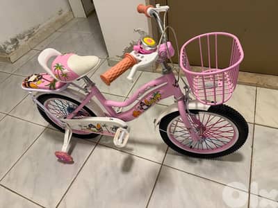 bicycle for sale never used