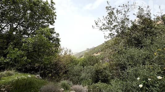 RWB363CA - Land for sale in Breij Jbeil