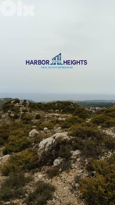 Land for Sale in Lehfed - أرض للبيع في لحفد