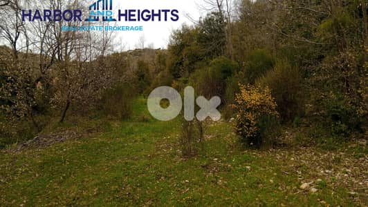Land for Sale in Lehfed - أرض للبيع في لحفد