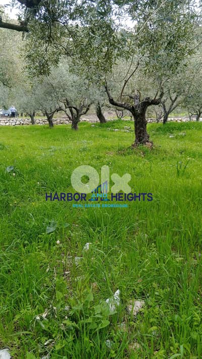 Land for Sale in Lehfed - أرض للبيع في لحفد