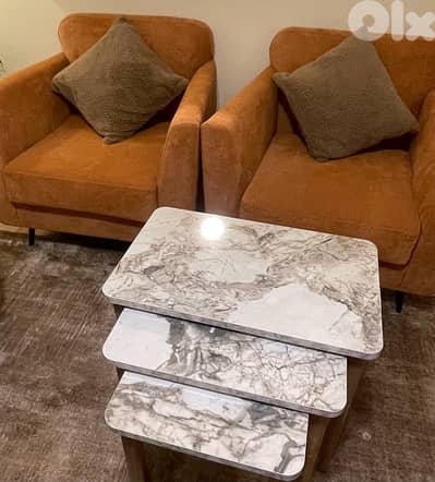 2 couches , tables , carpet