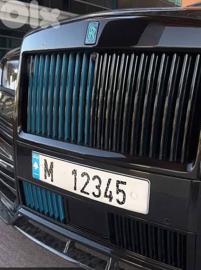 12345 special plate number