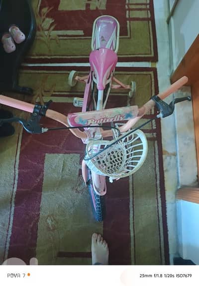 بسكلا ٣ دواليب