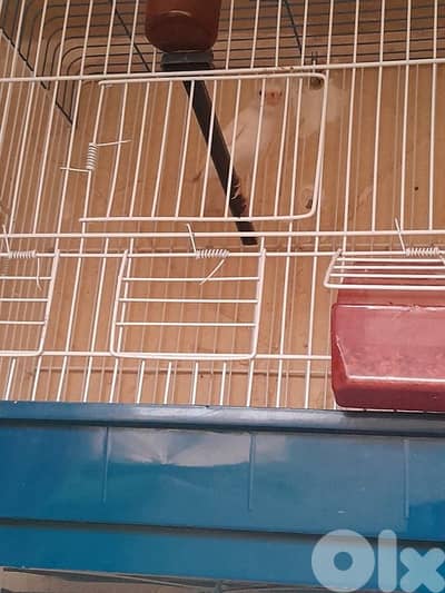 كنار مخلف لون ابيض لون كتير حلو و مميز شغل بيت نمبر 1 صحة دهب