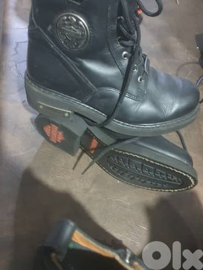 harley davidson and Tommy Hilfiger