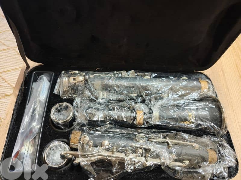 clarinet usa 1