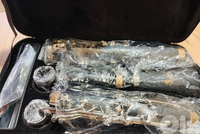clarinet usa 2