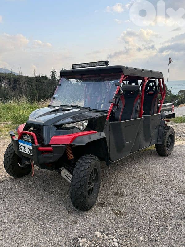Odes Buggy LZ 1000 For Sale 1