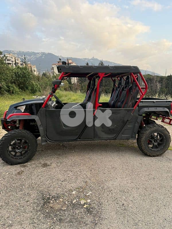 Odes Buggy LZ 1000 For Sale 2