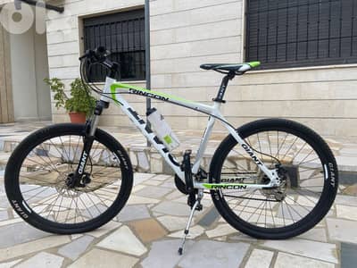 Giant rincon disc 26"