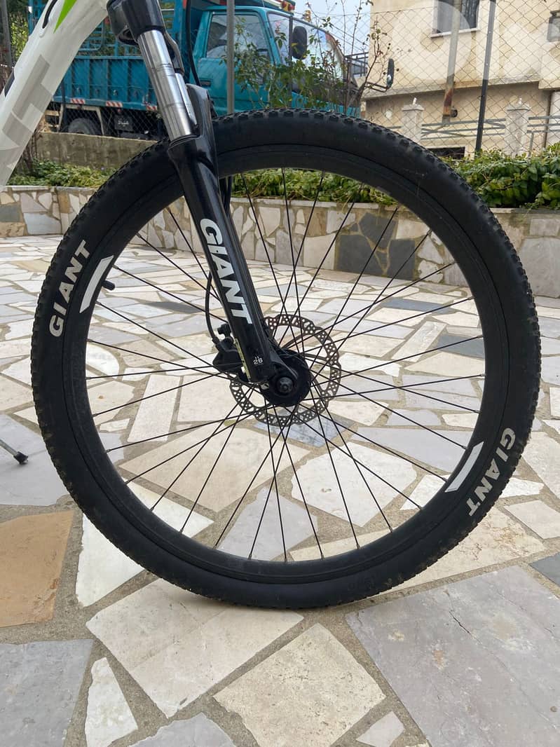 Giant rincon disc 26" 2