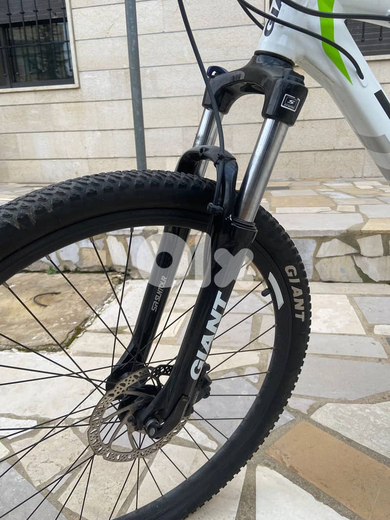 Giant rincon disc 26" 3